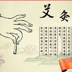 Ivy Acupuncture & Herbal Clinic