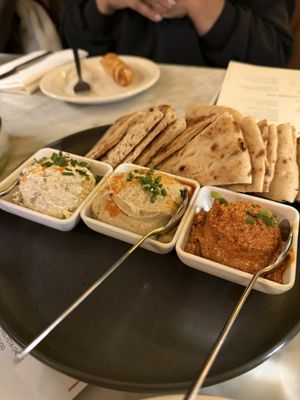 Sea Salt NYC by null