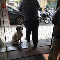 Espigon