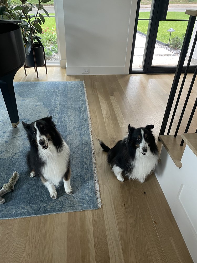 THE PET STYLIST ON LOVERS LANE Updated October 2024 15 Reviews