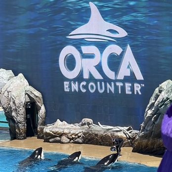 Orca Encounter - Snack time!!!! - Amusement Parks Near Me - San Diego, California