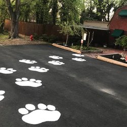 Never Land Kennel & Cattery - Puppies and kitties love to visit  Never Never Land
