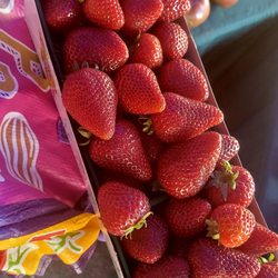 These are soooo delicious