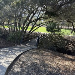 Moller Park - Small creek and bridge