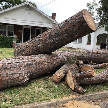 Absolute Tree and Stump - Crane Services Near Me - Fleming Island, Florida