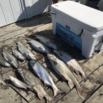Deep V Sportfishing Charters - Boat Charters Near Me - Holland, Michigan Deep V Sportfishing Charters - Boat Charters Near Me - Holland, Michigan
