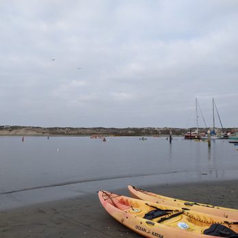 Monterey Bay Kayaks - Elkhorn Slough. The start! - Tours Near Me - Moss Landing, California Monterey Bay Kayaks - Elkhorn Slough. The start! - Tours Near Me - Moss Landing, California