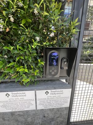 Treehouse Hollywood by null