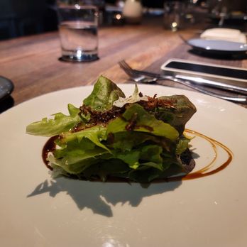 Juniper - Little Lettuce - Italian Near Me - Austin, Texas Juniper - Little Lettuce - Italian Near Me - Austin, Texas