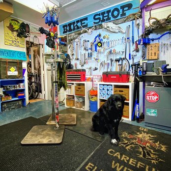 A Convenient Cycle - Bear waiting to greet next service customer - Couriers & Delivery Services Near Me - Portland, Oregon