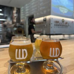 Working Draft Beer Company