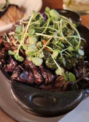 Hinoki & the Bird by null Hinoki & the Bird by null