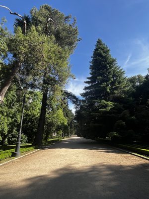 Campo del Moro by null