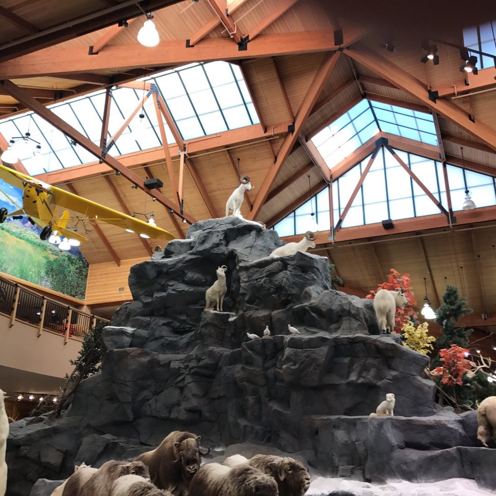 Cabela's - Outdoor Gear Near Me - Buda, Texas Cabela's - Outdoor Gear Near Me - Buda, Texas