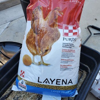 Hawthorne Country Store - Good price on 50 pounds of Purina pellet - Pet Stores Near Me - Escondido, California Hawthorne Country Store - Good price on 50 pounds of Purina pellet - Pet Stores Near Me - Escondido, California