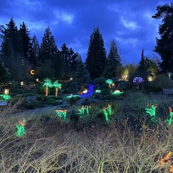 Garden D'Lights - Garden of lights - Local Flavor Near Me - Bellevue, Washington Garden D'Lights - Garden of lights - Local Flavor Near Me - Bellevue, Washington