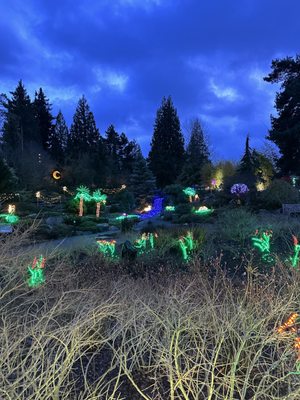 Garden d’Lights by null