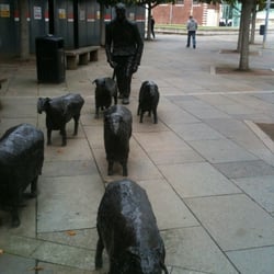 Sheep Herder