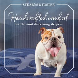 Mattress Fair of Allentown Inc - Enjoy your new Stearns and Foster® with our free local mattress delivery , set-up and old mattress removal https://pbxx.it/IuhBOA