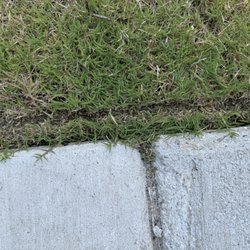 Williams Landscape & Design