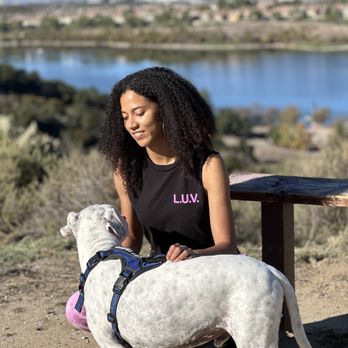 Paws and People OC - Pet Training Near Me Paws and People OC - Pet Training Near Me