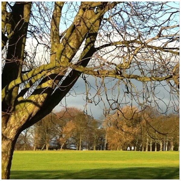 Roundhay Park