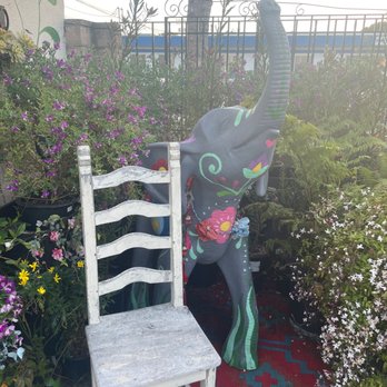 Tansy - So adorable! - Home Decor Near Me - Burbank, California