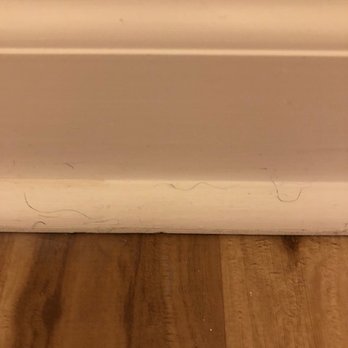 Westview at Irvine Spectrum - Disgusting hairs on the baseboards at move-in. Not clean, not painted. - Apartments Near Me - Irvine, California