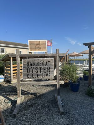 Barnegat Oyster Collective by null