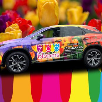 Ads On Wheels Vehicle Wraps - Vehicle Wraps Near Me - Nashua, New Hampshire Ads On Wheels Vehicle Wraps - Vehicle Wraps Near Me - Nashua, New Hampshire