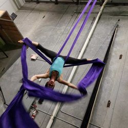 The Circus Lab