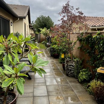 Bloom Landscape - We planted and provide monthly service to this garden. The design was by our friend Jenifer Mancera. - Landscaping Near Me Bloom Landscape - We planted and provide monthly service to this garden. The design was by our friend Jenifer Mancera. - Landscaping Near Me
