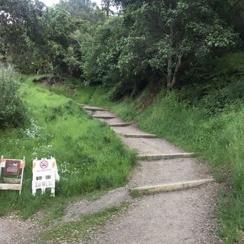 Lake Temescal - Steps leading up to another trail - Parks Near Me - Oakland, California