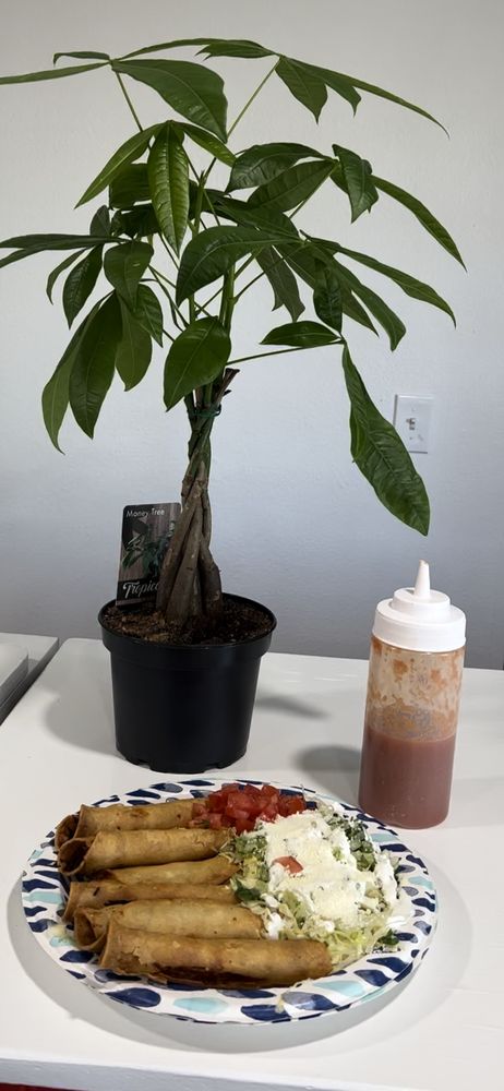 Delicias Chiapanecas