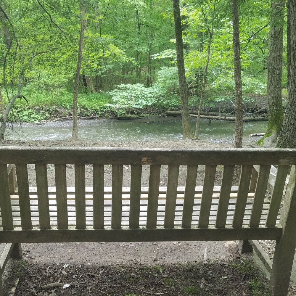 Lisha Kill Natural Area - Bench overlooking a stream - Hiking Near Me - Niskayuna, New York Lisha Kill Natural Area - Bench overlooking a stream - Hiking Near Me - Niskayuna, New York