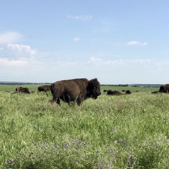 Tallgrass Prairie Preserve - Parks Near Me - Pawhuska, Oklahoma