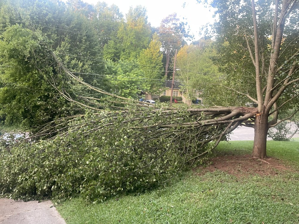 Red Maple Tree Services - tree service in Norcross, GA