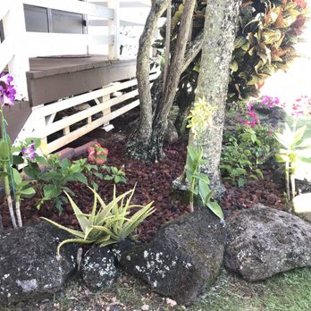 Dotson Gardens - Orchids, hibiscus and bougainvillea in red cinder landscape - Gardeners Near Me Dotson Gardens - Orchids, hibiscus and bougainvillea in red cinder landscape - Gardeners Near Me