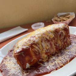 Wet Regular Burrito