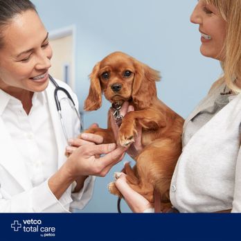 Vetco Total Care - Veterinarians Near Me - Seattle, Washington Vetco Total Care - Veterinarians Near Me - Seattle, Washington
