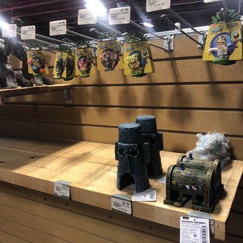 Pet's Barn - Sponge Bob Square Pants Items - Pet Stores Near Me - El Paso, Texas
