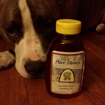 Lawndale Farms - Local honey from Lawndale Farms, Lucas thinks it's the bee's knees! - Farmers Market Near Me - Tyngsboro, Massachusetts Lawndale Farms - Local honey from Lawndale Farms, Lucas thinks it's the bee's knees! - Farmers Market Near Me - Tyngsboro, Massachusetts