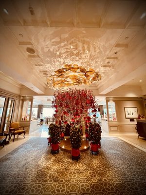 The Verandah by null