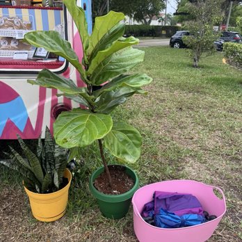 Little V's - Umbrellas for when it rains for the customers to wait with - Coffee & Tea Near Me - Pembroke Pines, Florida Little V's - Umbrellas for when it rains for the customers to wait with - Coffee & Tea Near Me - Pembroke Pines, Florida