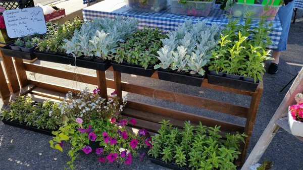 Nampa Farmers Market by null