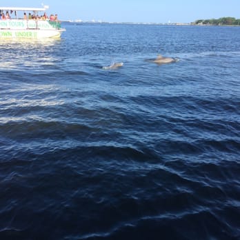 Cruise Orange Beach Dolphin Cruises - Boating Near Me - Orange Beach, Alabama Cruise Orange Beach Dolphin Cruises - Boating Near Me - Orange Beach, Alabama