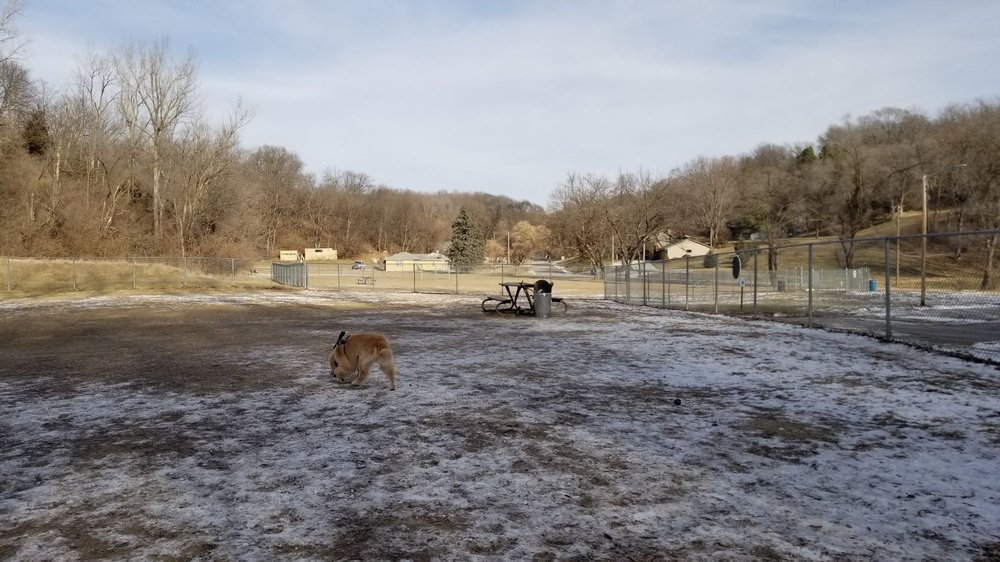 JEWELL DOG PARK Updated September 2024 36 Photos 624 Combs Rd