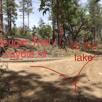 Goldwater Lake - This is the division trails. If you go to the right it will take you back to the lake. - Lakes Near Me - Prescott, Arizona