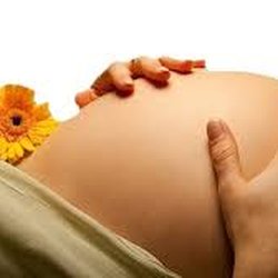 McCormick Acupuncture Center - The clinic provides fertility support treatments using acupuncture and other therapies