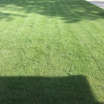 Wynn's Intensive Lawn Care - After Treatments - Tree Services Near Me - Douglasville, Georgia Wynn's Intensive Lawn Care - After Treatments - Tree Services Near Me - Douglasville, Georgia
